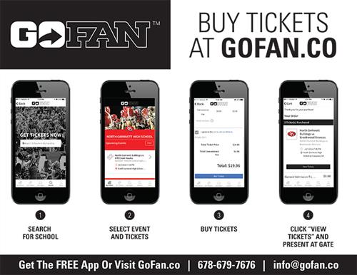 Infographic for Go Fan